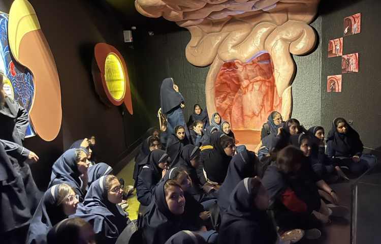 هیومن پارک 3