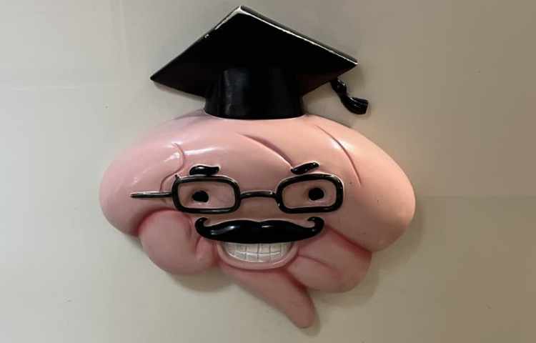 هیومن پارک 4