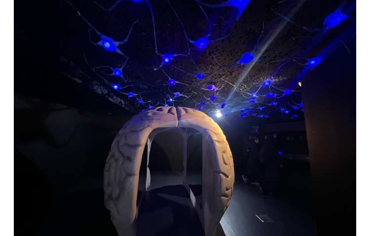 هیومن پارک 5