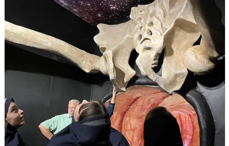 هیومن پارک 6