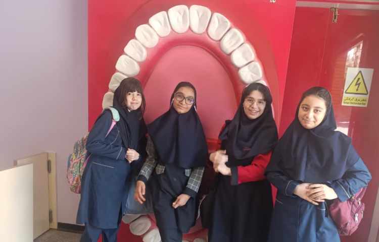 هیومن پارک 9