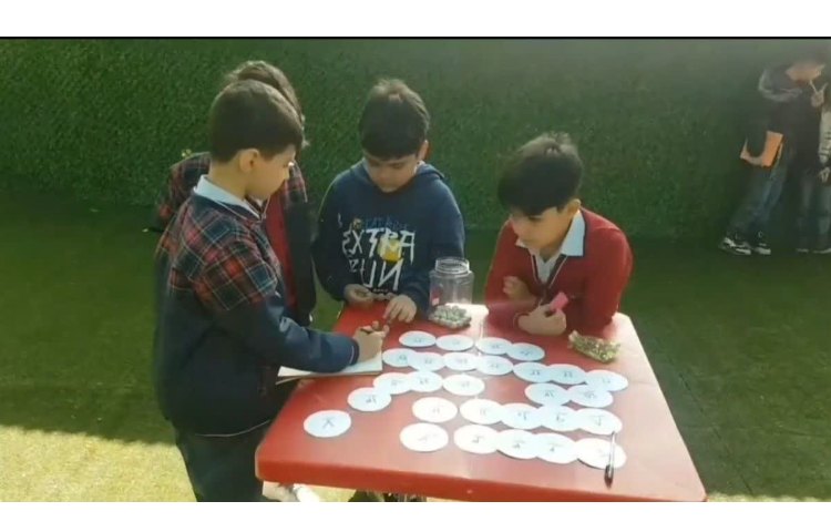 واژه سازی-فارسی