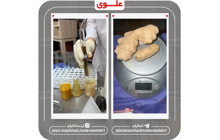 ورود به مرحله منطقه ای علوم آزمایشگاهی جشنواره نوجوان خوارزمی 5