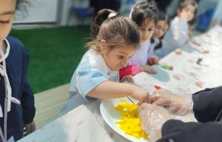 ورک شاپ قند و نبات 14