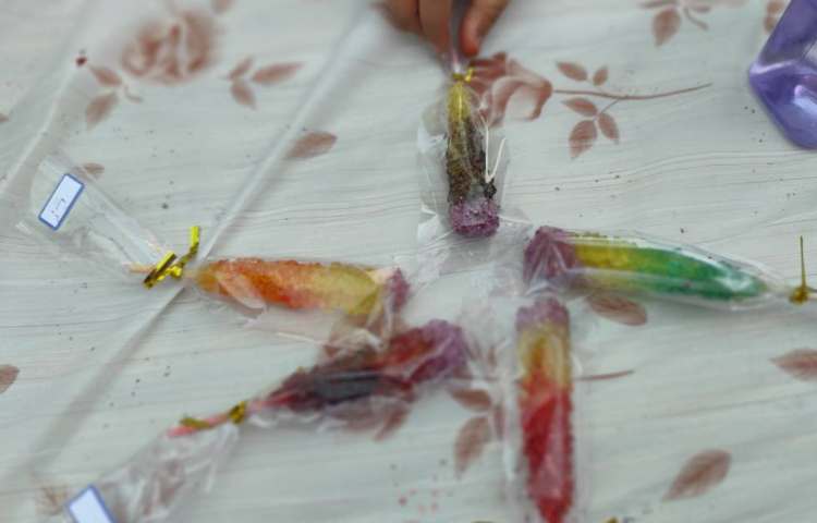 ورک شاپ قند و نبات 15