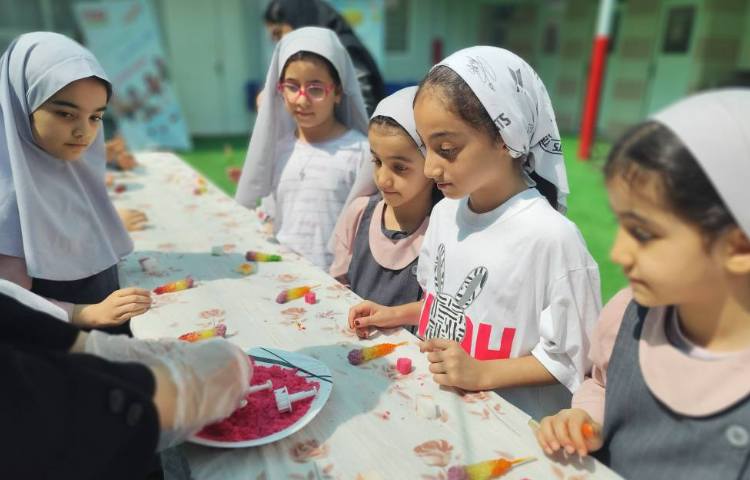 ورک شاپ قند و نبات 19