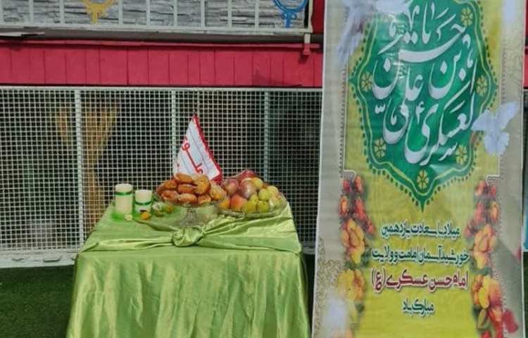 ولادت امام حسن عسکری 4