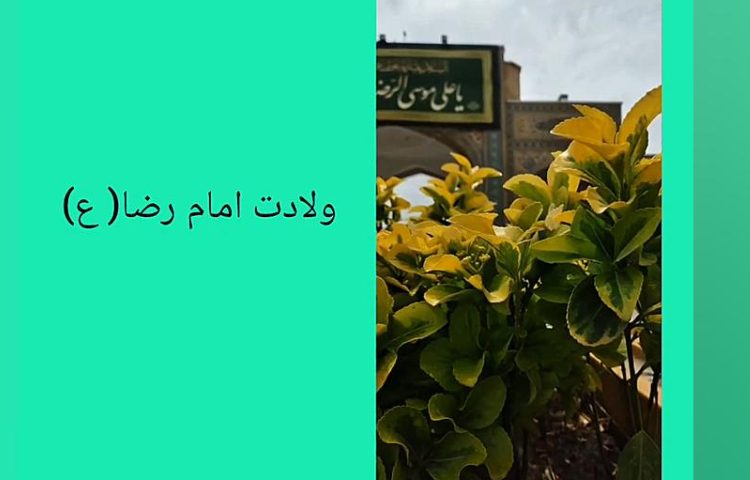 ولادت امام رضا (ع)