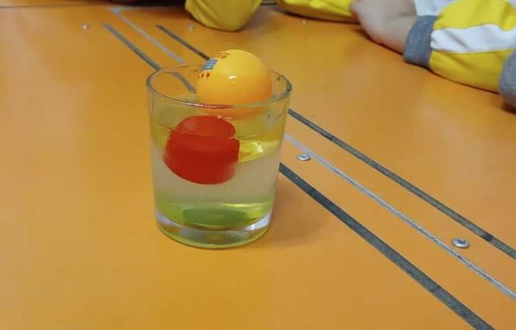 ویژگی های کرم شب تاب 1