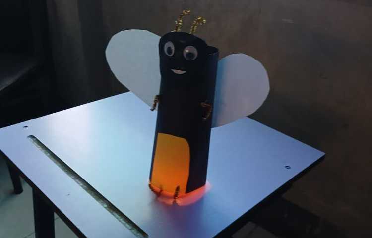 ویژگی های کرم شب تاب 3