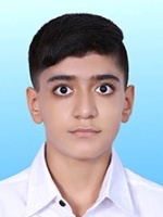 پارسا بهرامی