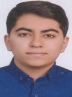 پارسا رفیعانی