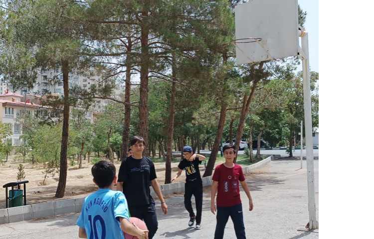 پارک جنگلی چیتگر 3