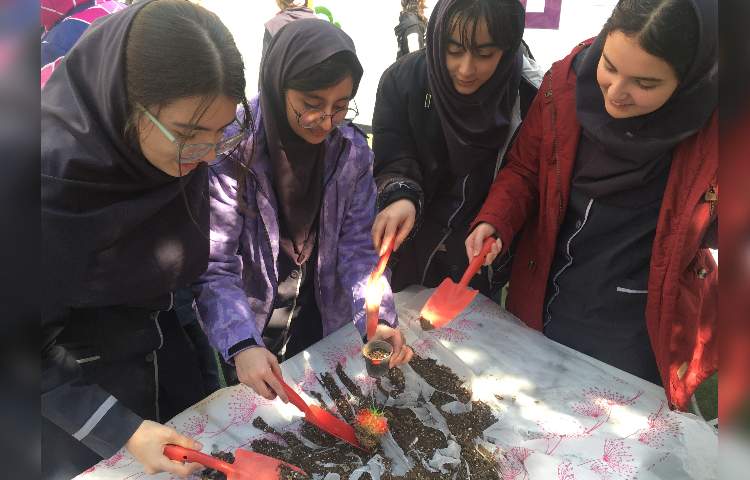 پانزدهم اسفندماه روز درخت کاری 3