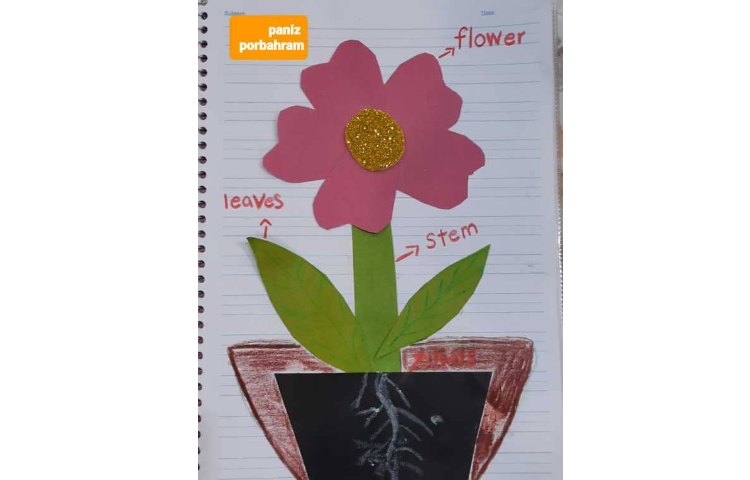 پانیذ پور بهرام عزیز Different parts of a plant