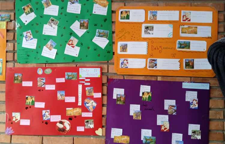 پایان کار روزنامه دیواری 2