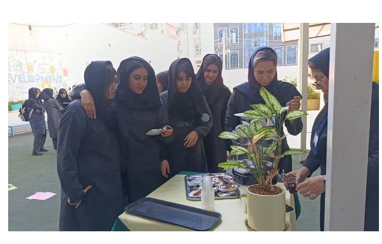 پایگاه تابستانی پایه دوازدهم 4