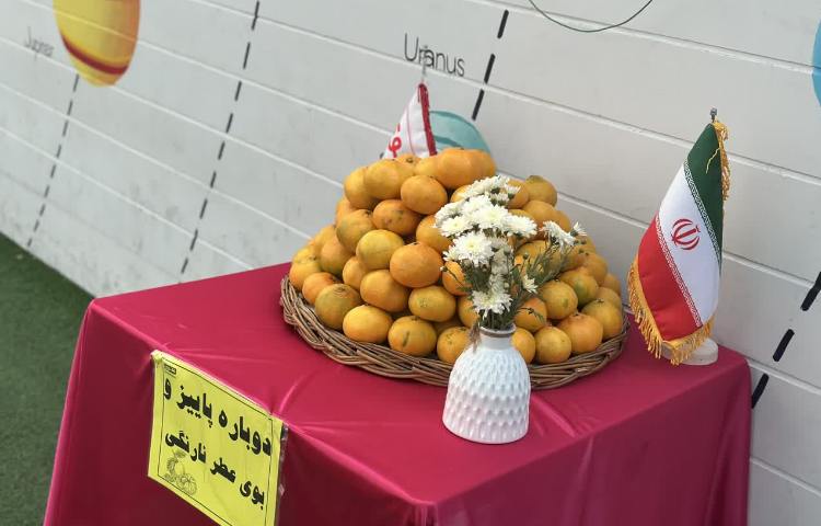 پاییز و نارنگی 1