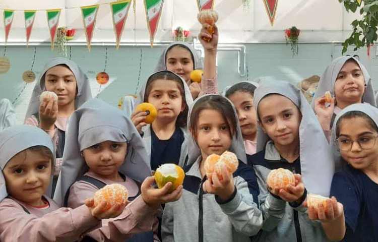 پاییز و نارنگی 3