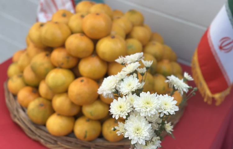 پاییز و نارنگی