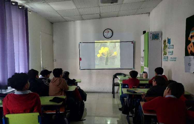 پخش انیمیشن بکارید و ببینید فصل 11 علوم 2