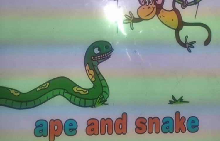 پخش فیلم آموزشی مربوط به تدریس phonics 4