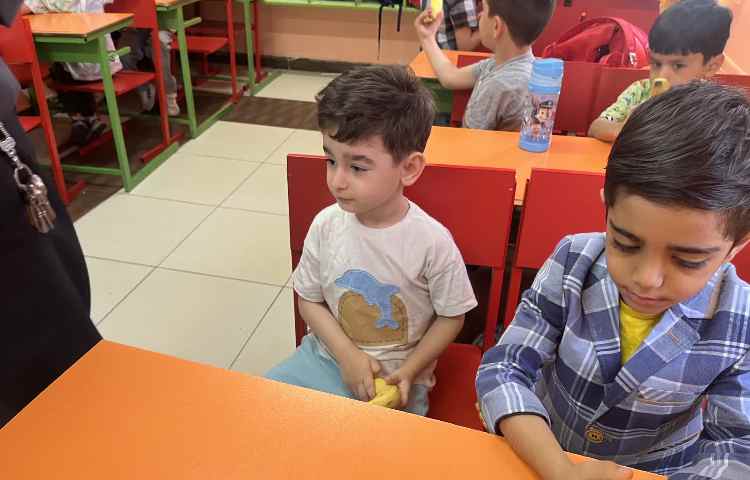 پخش میان وعده سالم 3