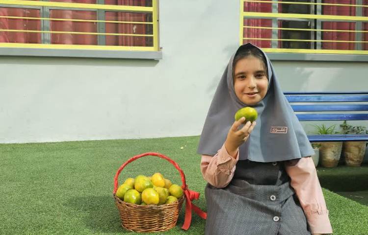 پخش میان وعده 1