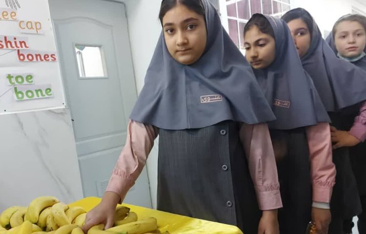 پخش میان وعده 2