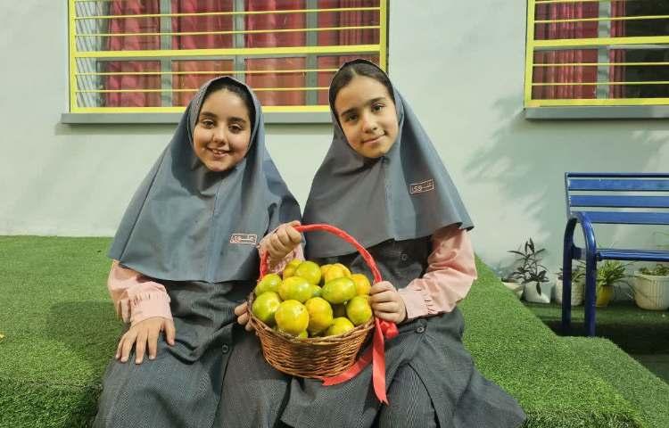پخش میان وعده 2
