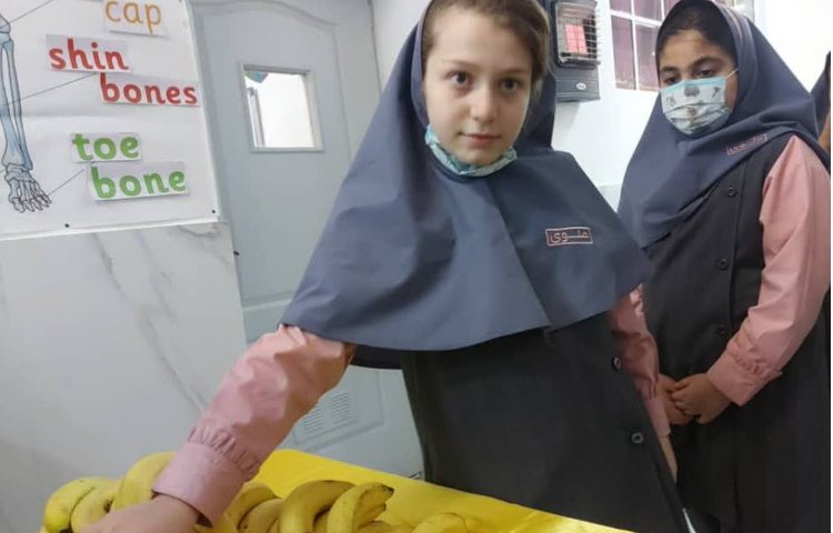 پخش میان وعده 4