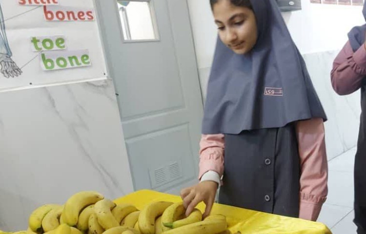 پخش میان وعده 5