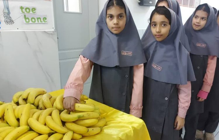 پخش میان وعده