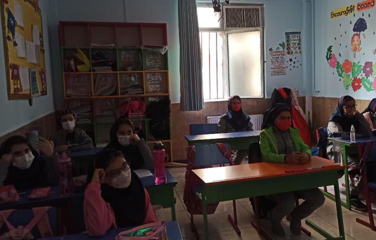 پخش ویدیو فندق تشکیل فسیل 2