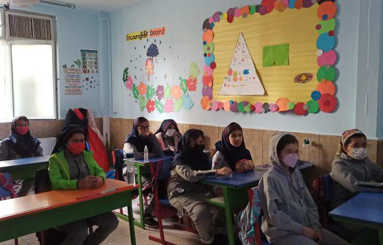 پخش ویدیو فندق تشکیل فسیل 3