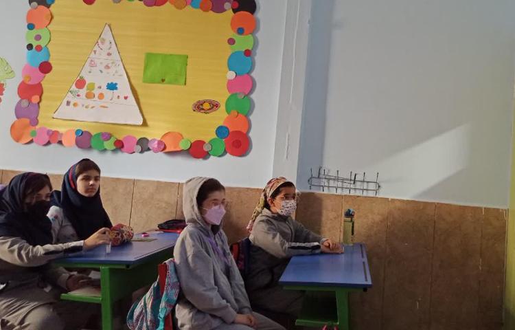 پخش ویدیو فندق تشکیل فسیل