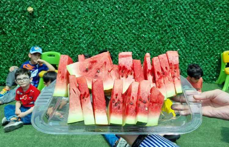 پذیرایی میان وعده تابستانی 13