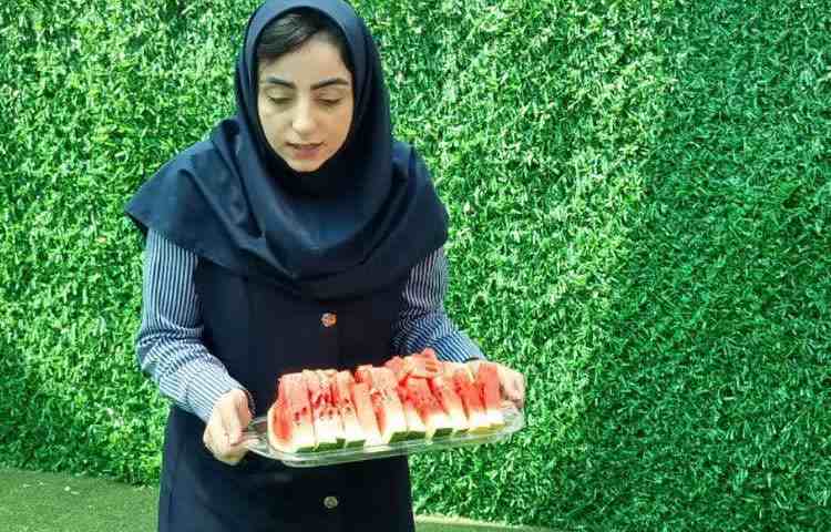 پذیرایی میان وعده تابستانی 15