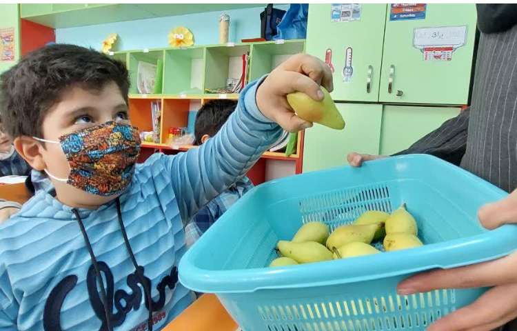 پذیرایی میان وعده دبستان علوی 5