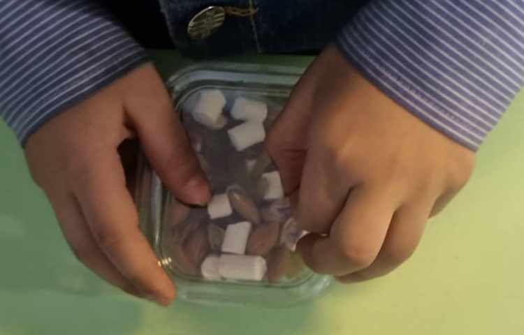 پذیرایی میان وعده 4