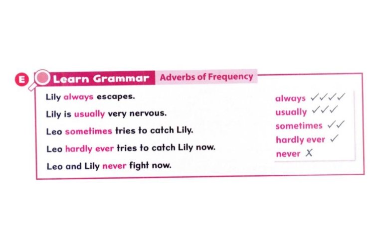 پرسش و پاسخ با Adverbs of Frequency