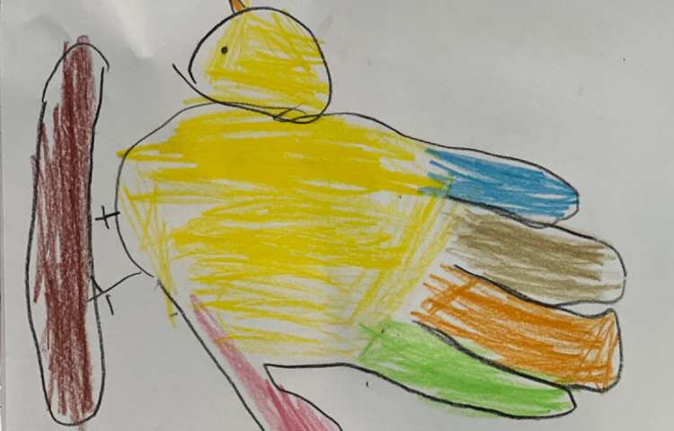 پرنده باانکشتان دست 11