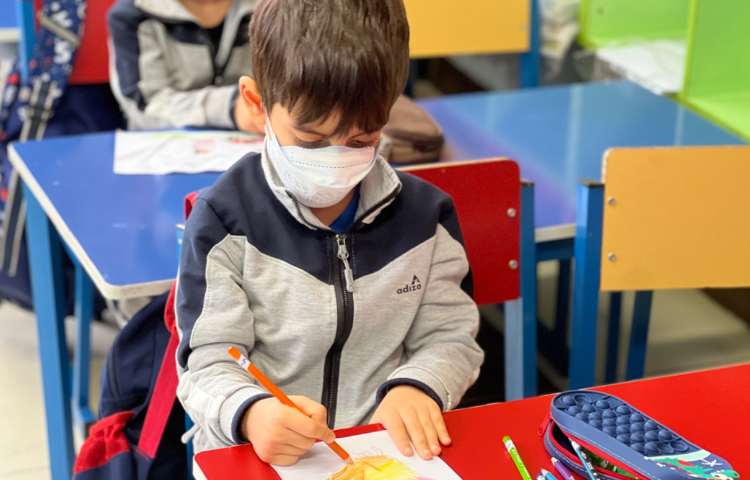 پرنده باانکشتان دست 13