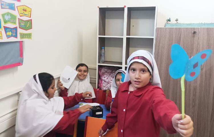 پروانه های زیبایی 3