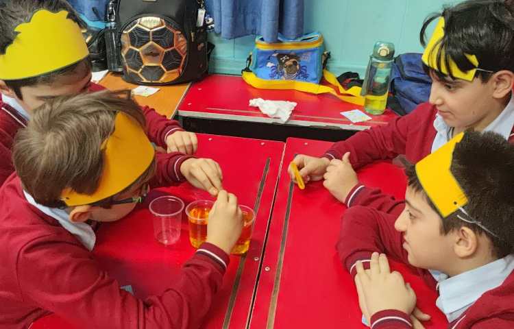 پروژه اسرار آب 1