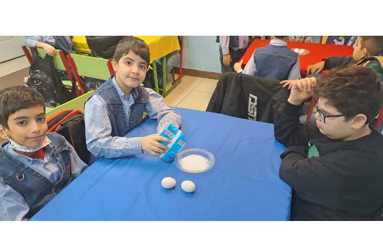 پروژه ترفندهای نمکی هفته ملی علوم 1