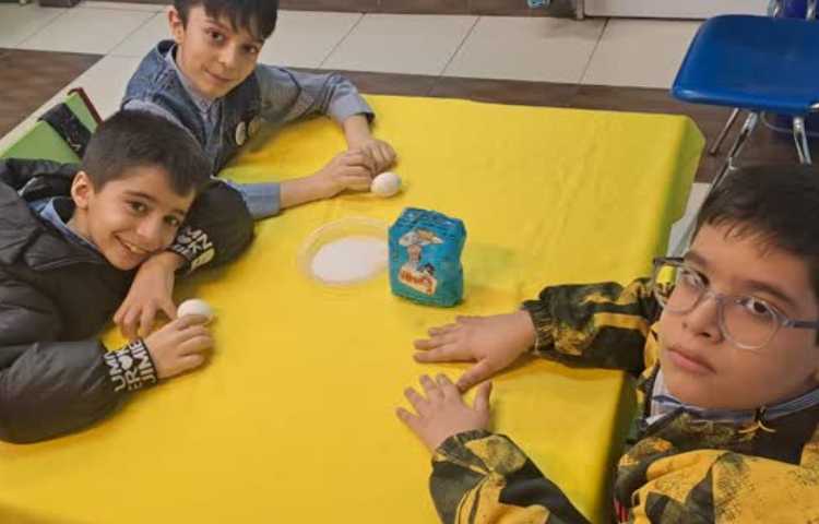 پروژه ترفندهای نمکی هفته ملی علوم 6