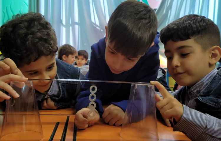 پروژه سیرک واشری 1