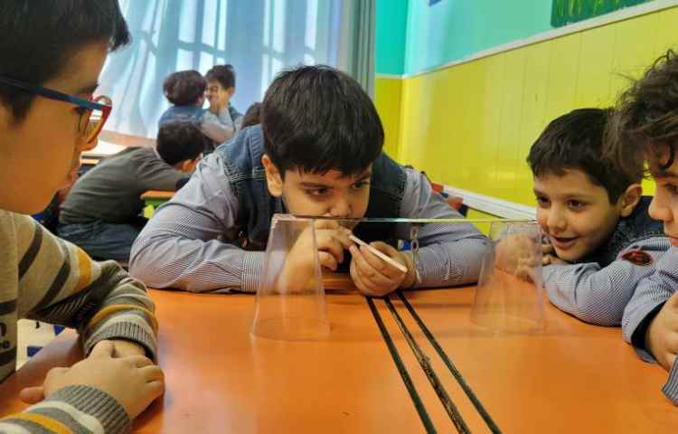 پروژه سیرک واشری 4