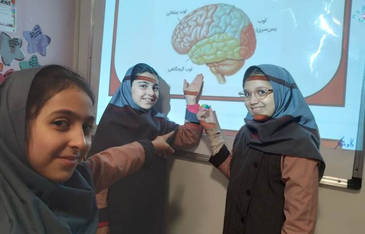 پروژه فرمانده بدن 9